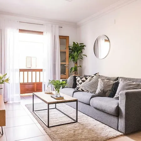 Apartment Amazing New Penthouse 50 Steps From The Sea With Private Terrace Puerto de la Cruz (Tenerife)